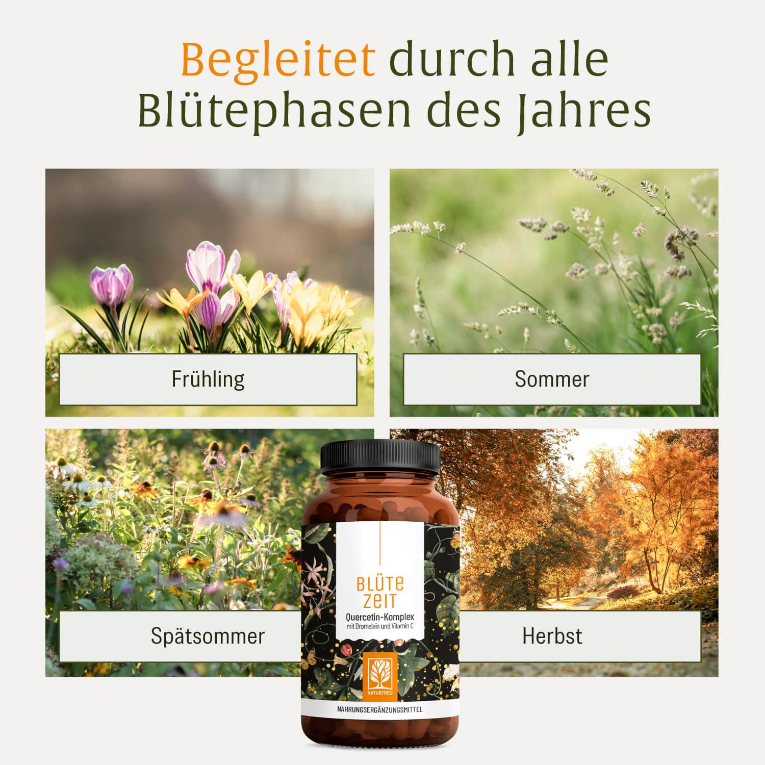 Quercetin Bromelain Komplex 120 Kapseln Vegan - 500mg Quercetin hochdosiert, 100mg Bromelain und 16mg Vitamin C pro Tagesdosis - Blütezeit von Naturtreu