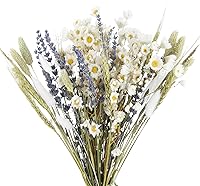 ACRYCS Dried Flowers Bouquet: Natural Lavender, Daisy, Bunny Tails, Wheat Stalks for Wedding Centerpieces & Farmhouse DIY Decor