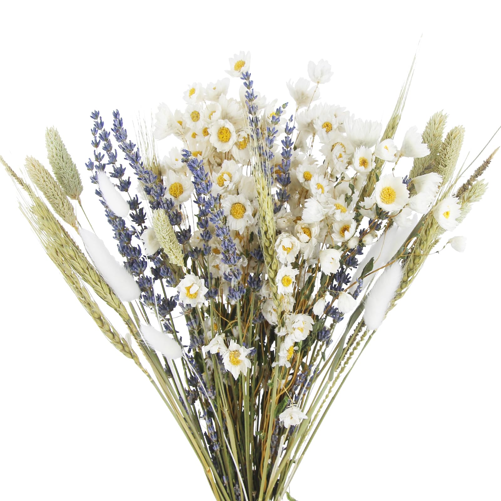 CEWUDA Dried Flowers Bouquet Dried Daisy Flowers Natural Lavender Dried Flowers Bunny Tails Gerber Daisies Flowers Wheat Stalks Floral Arrangements for Wedding Table Centerpiece Decor Farmhouse DIY
