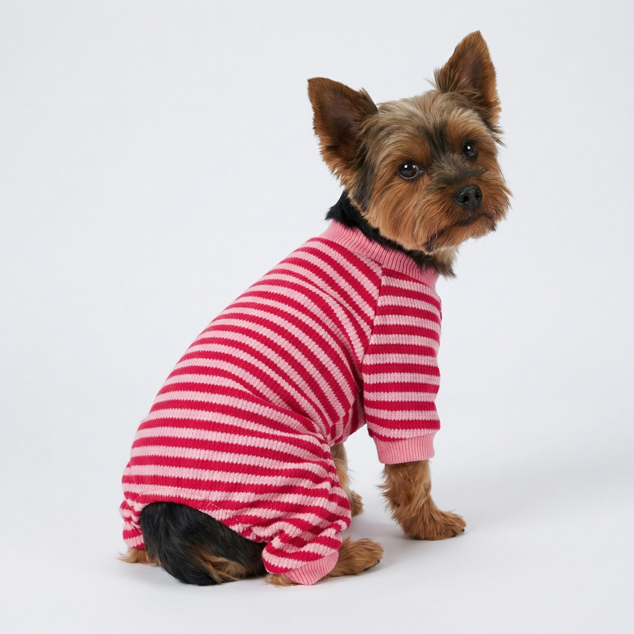 Amazon.com : Fitwarm Pink and Red Striped Dog Pajamas, Waffle Dog 
