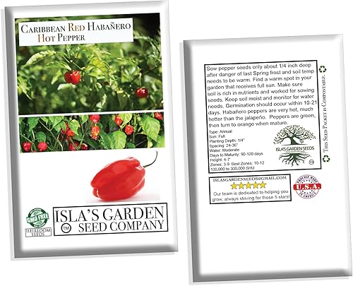 Miniatura 6 de Semillas de pimiento picante Habañero rojo caribeño, 25 semillas tradicionales por paquete, semillas sin OMG, nombre botánico: Capsicum chinense,