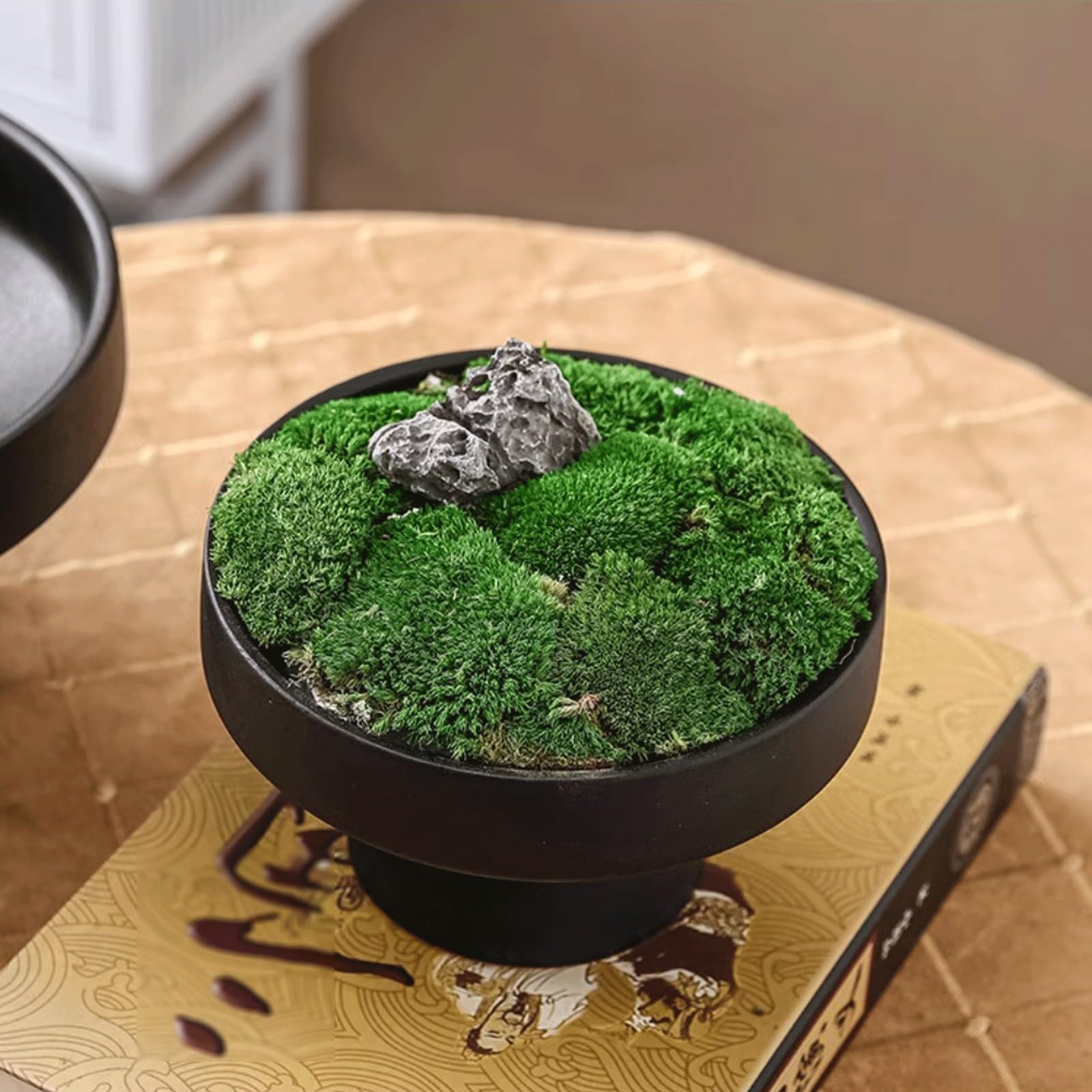 Dekoracyjna okrągła doniczka ceramiczna, płytka doniczka z otworami drenażowymi, nowoczesna doniczka na sukulenty / orchideę, stołowa miska na owoce do salonu, na taras (L)