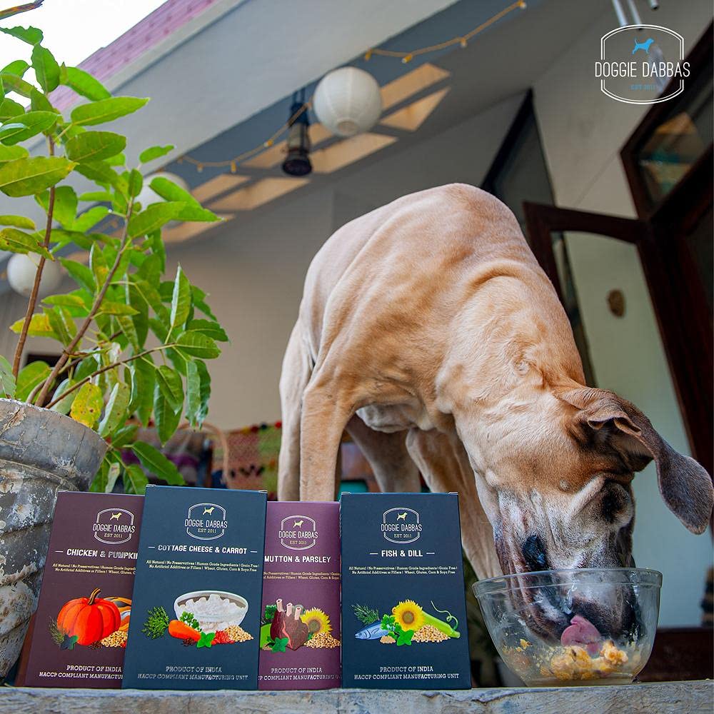Doggie Dabbas Delicious Premium Taster Fresh Meals (Pack of 4) (Contains - 1 Chicken Meal, 1 Cottage Cheese Meal, 1 Fish Meal & 1 Mutton Meal) - 200g each (B097ZHGNYJ) Amazon Price History, Amazon Price Tracker