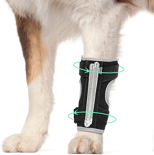 Soporte ajustable para pierna delantera para perro, soporte de tobillo para lomo delantero, férula de muñeca para perro con resortes metálicos