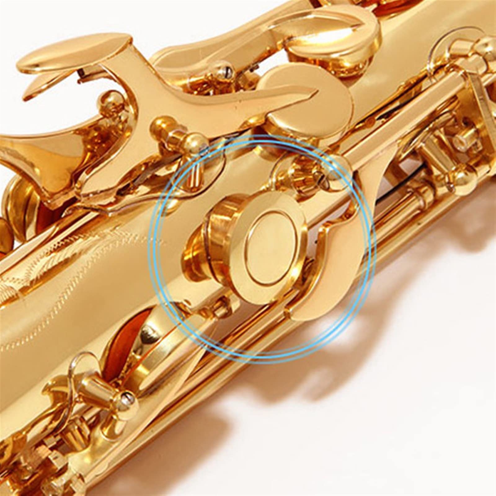 Es-Altsaxophon Für Erwachsene Anfänger Saxophon Students