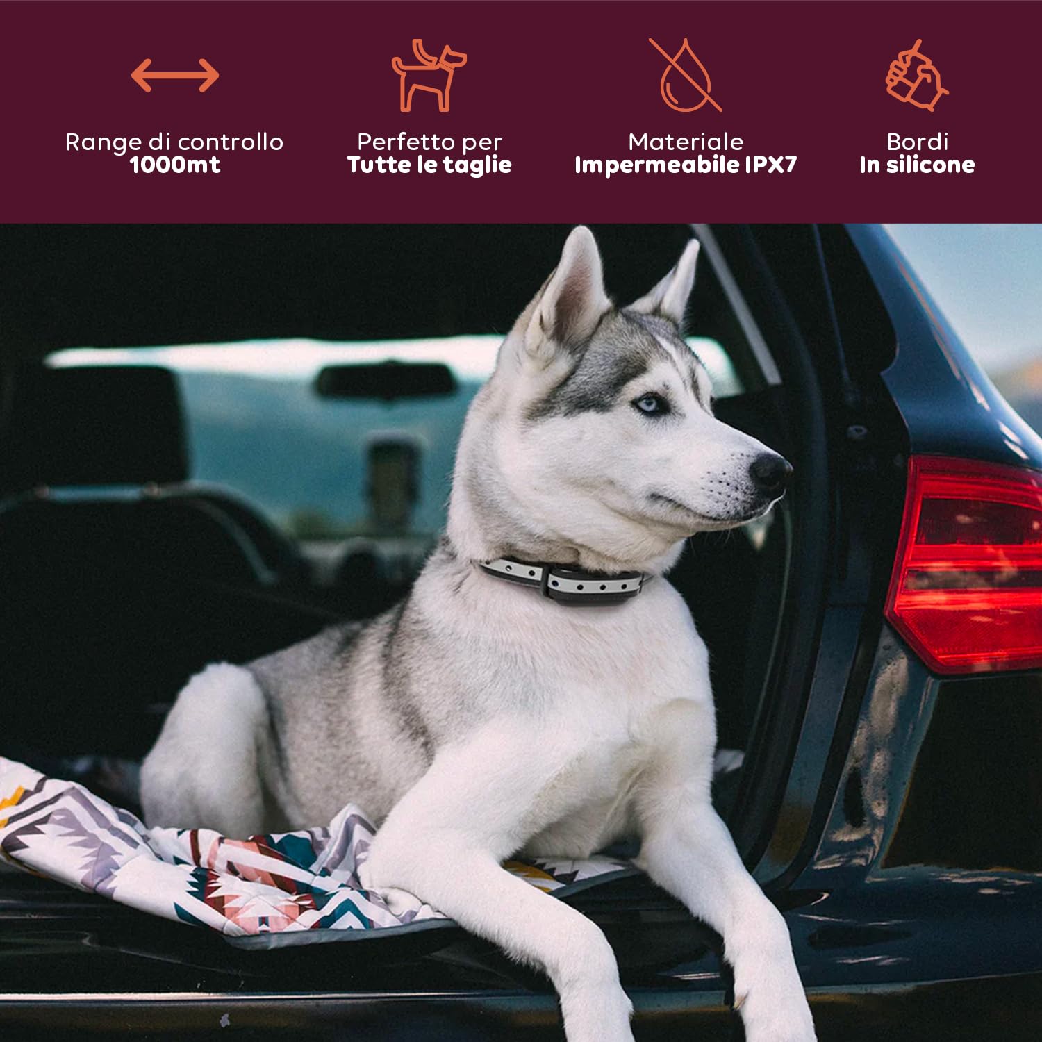 Avilia - Collare per Cani con Telecomando Impermeabile IPX7 Ricaricabile Portata 1000mt Collare Regolabile per Tutte le Taglie