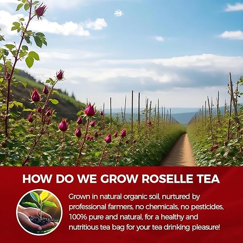 Miniatura 6 de WOTIHA - Bolsas de té de hibisco natural de 4.23 oz. 80 bolsas de té de hierbas con propiedades antioxidantes, sin OMG  Sin aditivos  Sin cafeína,