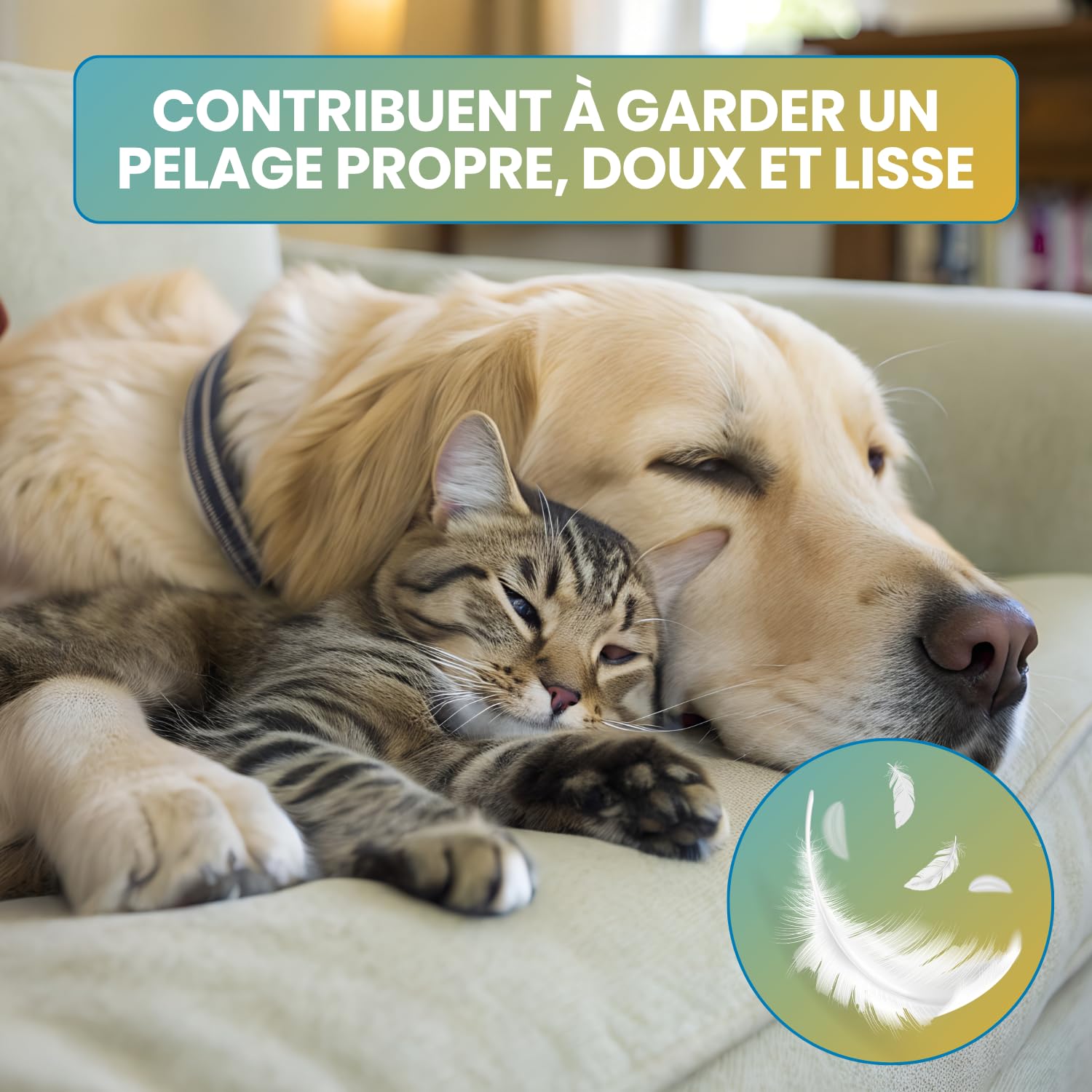 Lingettes Chien & Chat Nettoyantes et Hydratantes (1000 unités) – Lingettes Animaux pour Yeux, Oreilles, Pattes et Pelage – Hygiène Quotidienne Animaux – Lot 20 x 50 Lingettes