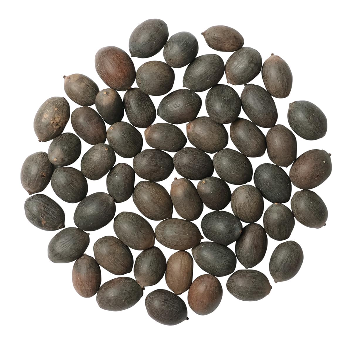 Natural Kamal Gatta Beads with Hole (51 Beads) | Original Lotus Seed Beads for Jaap Mala Making, Bracelet Making & Jewellery Making | Associated with Prosperity, Devotion & Positive Energy-image-35