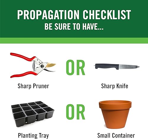 Miniatura 8 de Hormona de enraizamiento RootBoost 2 onzas (paquete de 2)