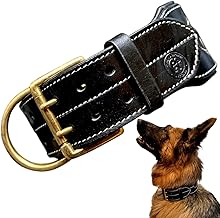 The K9 Store 100% Highgrade Leather Black Colored Dog Collar for Neck with Brass Accesories in Extra for Dogs.Collar for Dogs,Dog Neck Collar (XL), 15 x 15 cm