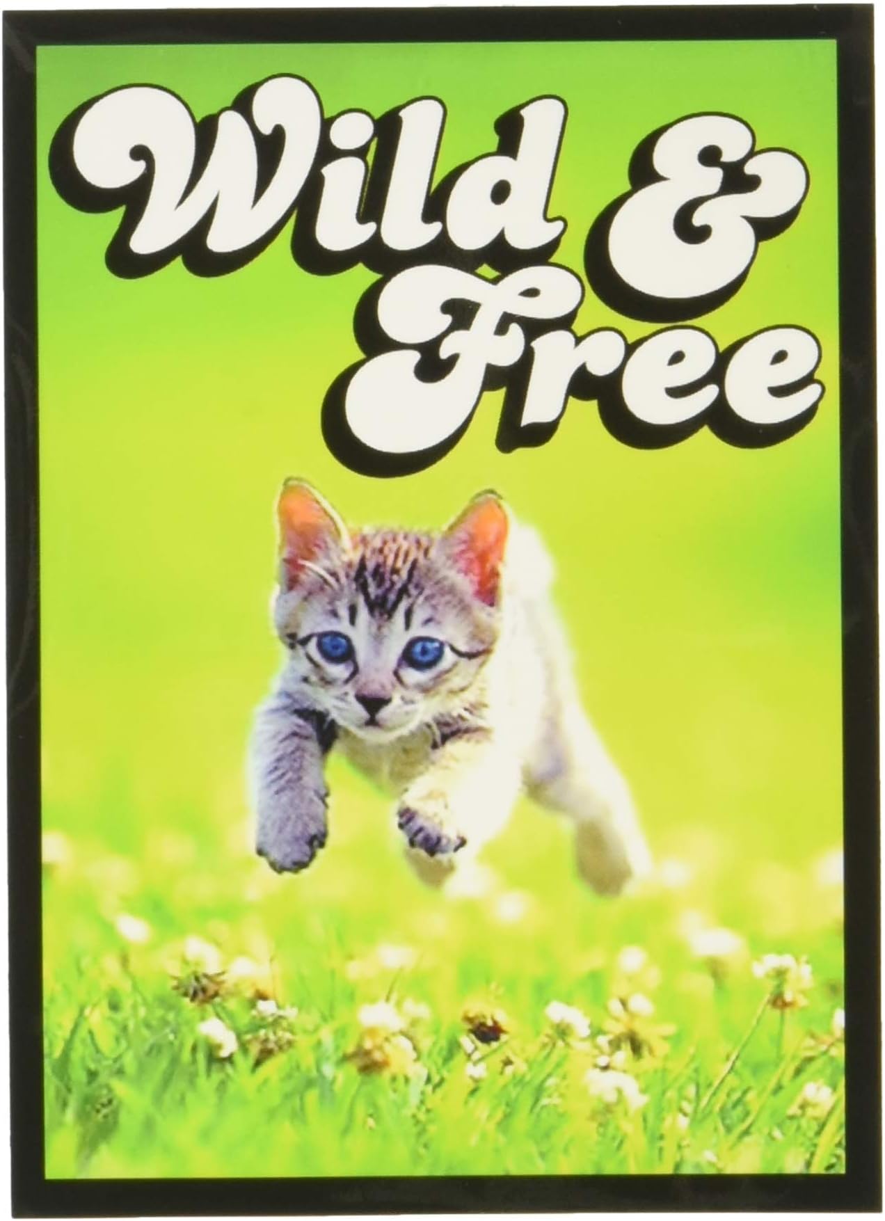 Legion Art Sleeves: Kitten (50 Count)