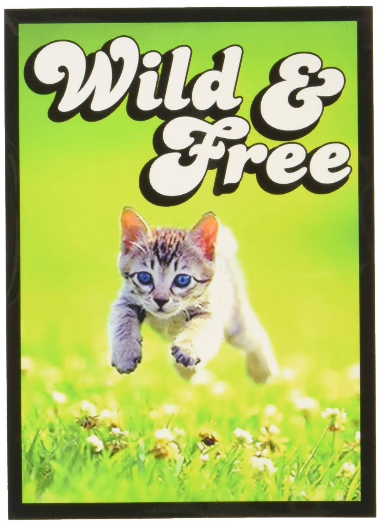 Legion Art Sleeves: Kitten (50 Count)