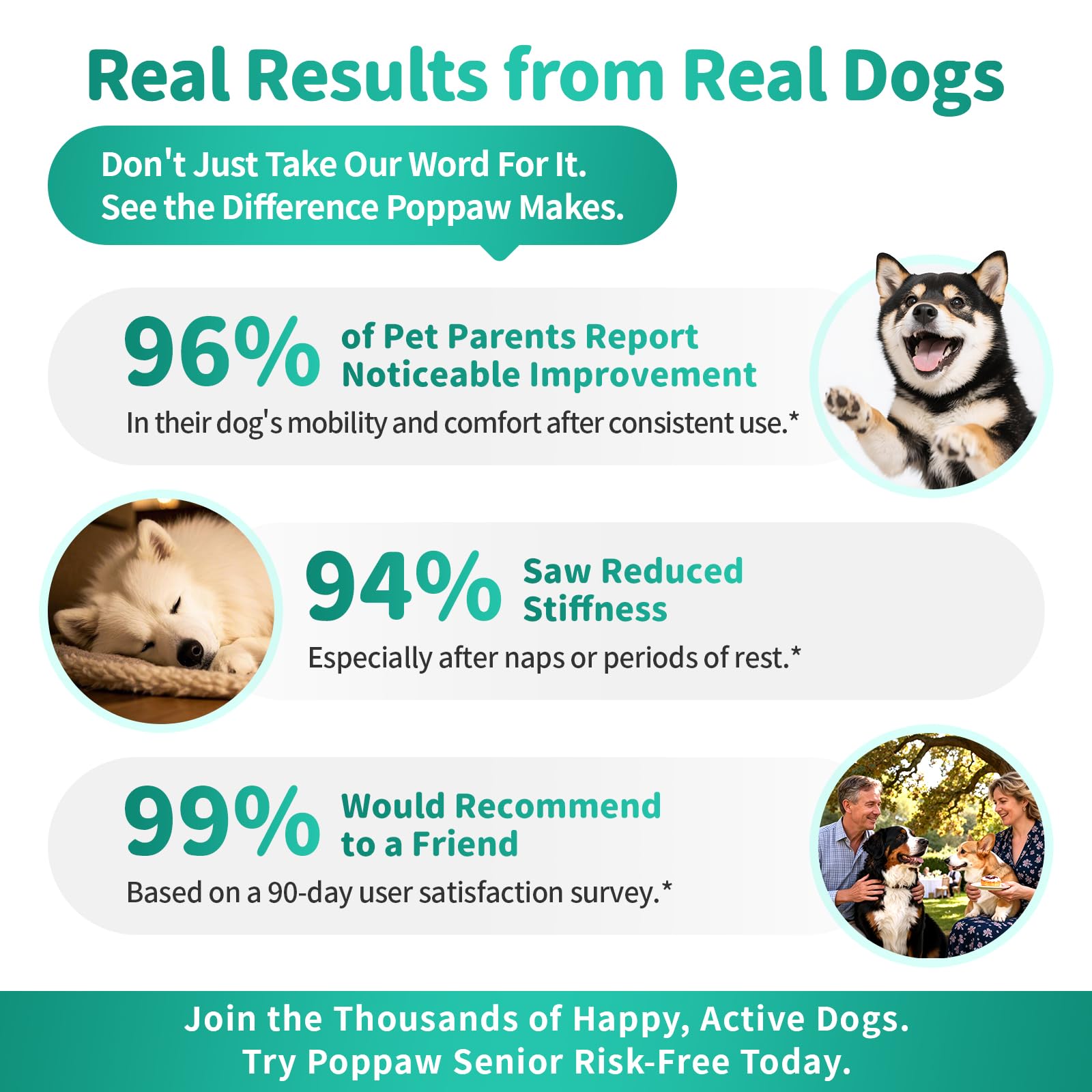 Advanced Dog Joint Supplement – 15-in-1 Glucosamine for Dogs with Chondroitin, MSM & Green Lipped Mussel – Hip & Joint Pain Relief Mobility Chews, Beef Flavor, 90Ct Breeds - image 5