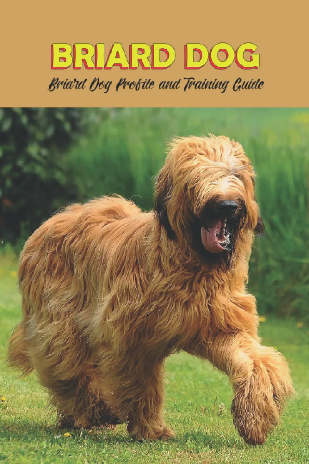 Briard Dog: Briard Dog Profile and Training Guide