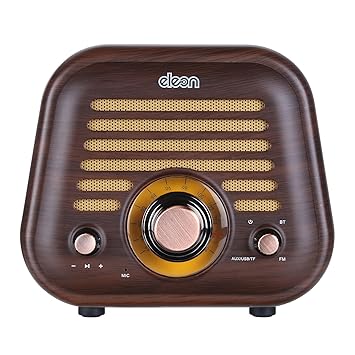 Eleon Asavari 5W Portable Wireless Bluetooth Speaker with Built in mic, FM Radio Function and Latest Bluetooth Version 5.0, Multiple connectivity (12 Months Warranty) (ELER2117, Brown)