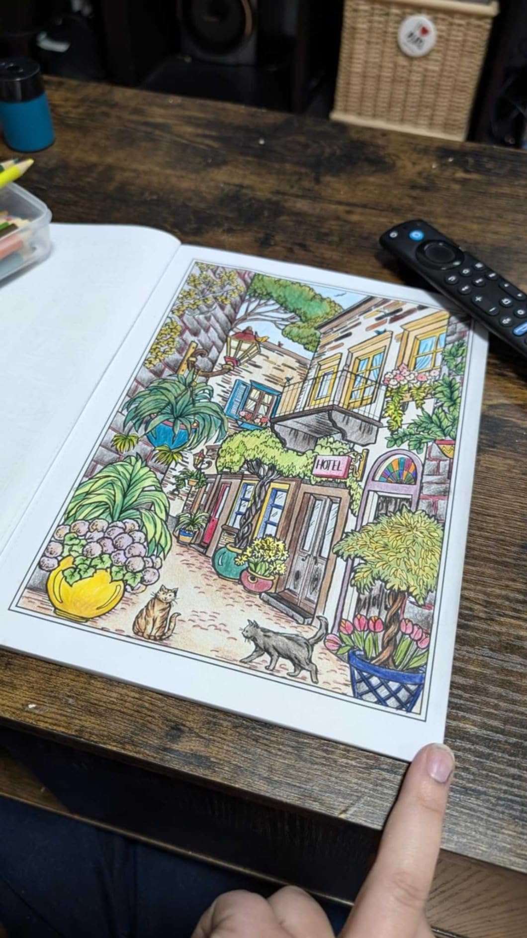 Creative Haven Village Charm Coloring Book : GOODRIDGE, TERESA: Amazon ...