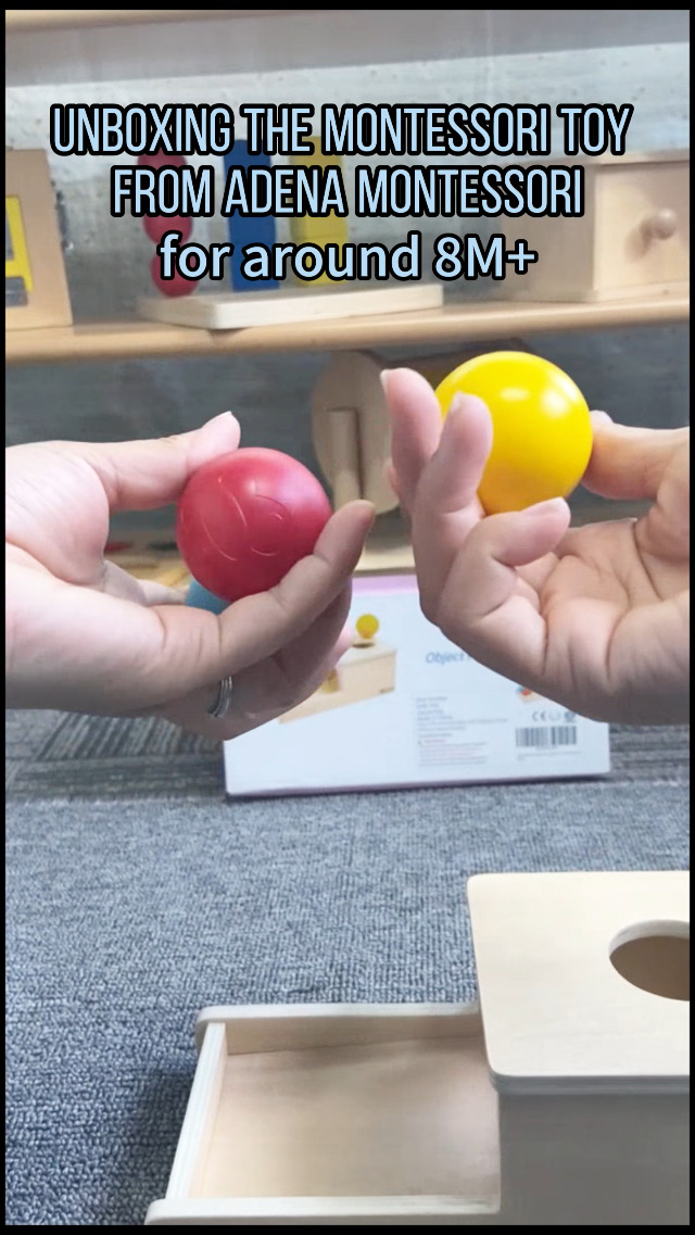 Adena Montessori Scatola Permanenza Oggetto In Legno – Gioco Educativo Con Dischi E Cassetto Per Bambini 6-12 Mesi E 1-2 Anni
