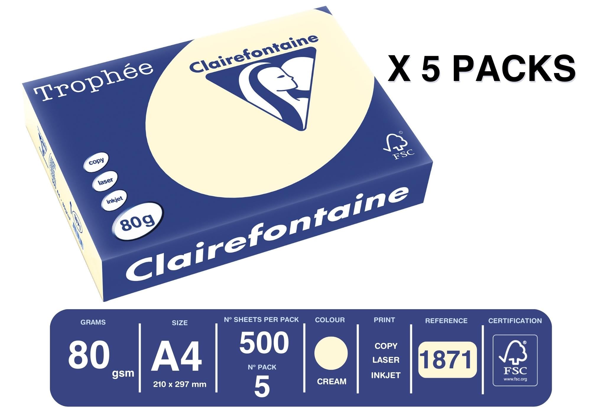 Clairefontaine - Réf. 1871C – 2500 feuilles de papier couleur au format A4 - Trophée 80 g/m² – Carton contenant 5 ramettes de 500 feuilles – Couleur gris acier