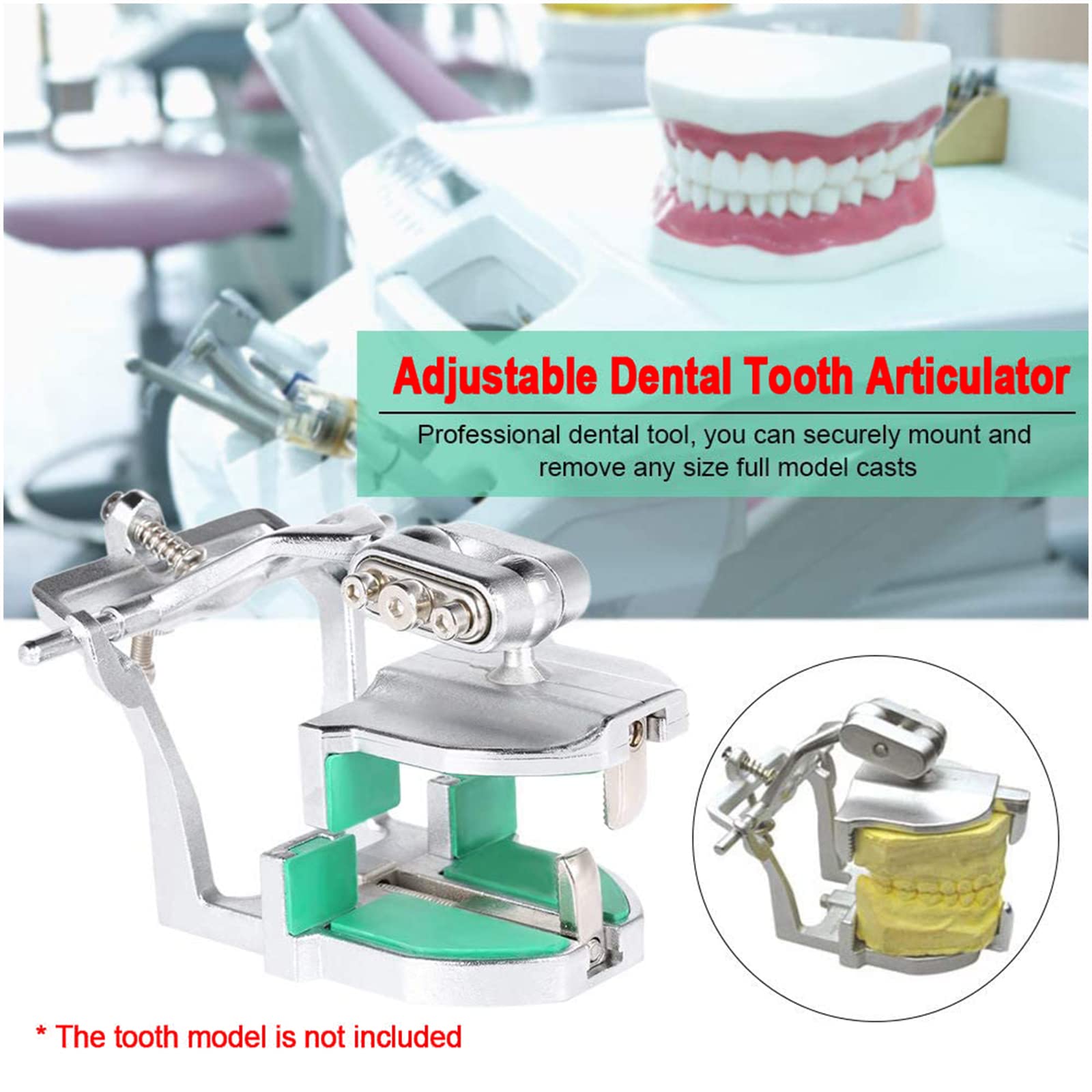 Dental Lab Halb Verstellbarer Artikulator - Universal Prothese Artikulator - 3 Einstellbare Typ 2 Dental Artikulator für Prothesenpflaster Modell, mit Schraubendreher (Grün)