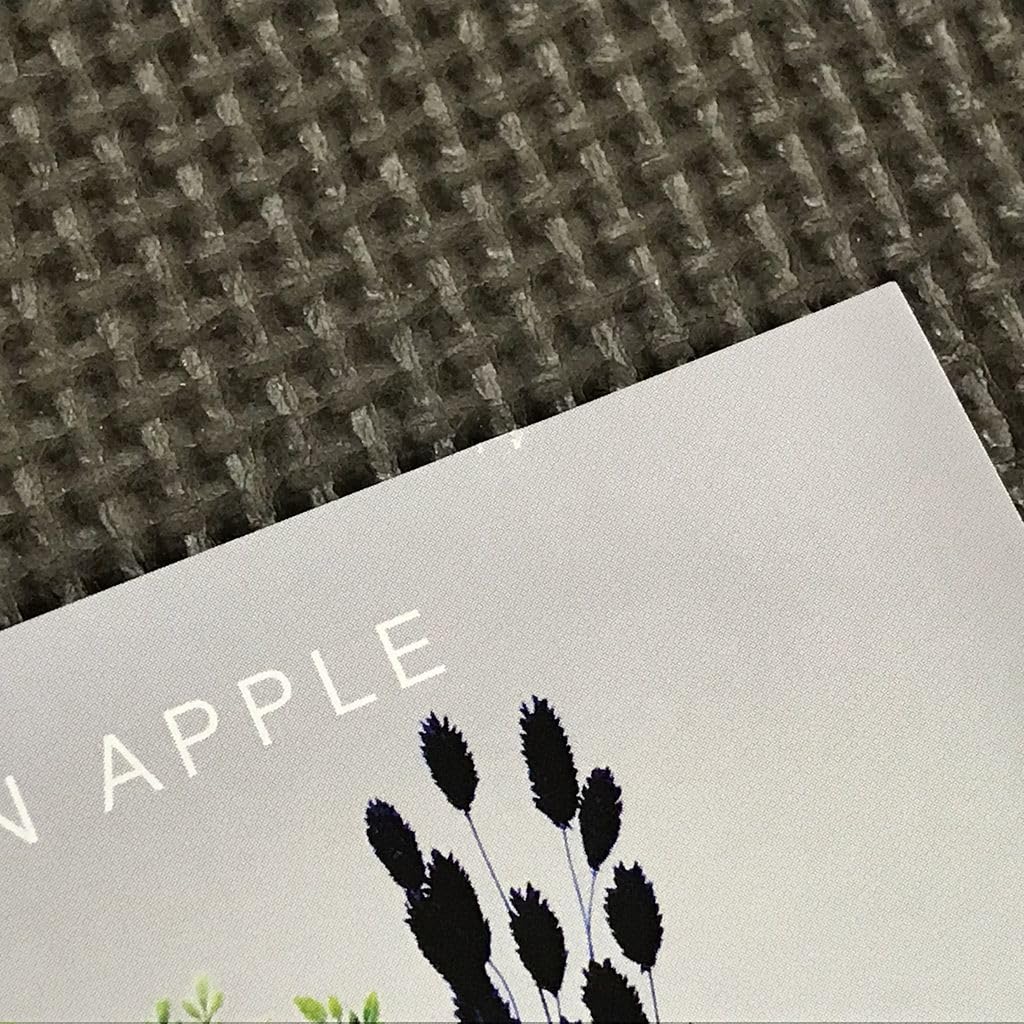 Mrs. GREEN APPLE 5 初回限定盤 CD+DVD 71IzrIk1z1L._AC_SY200_QL15_.jpg