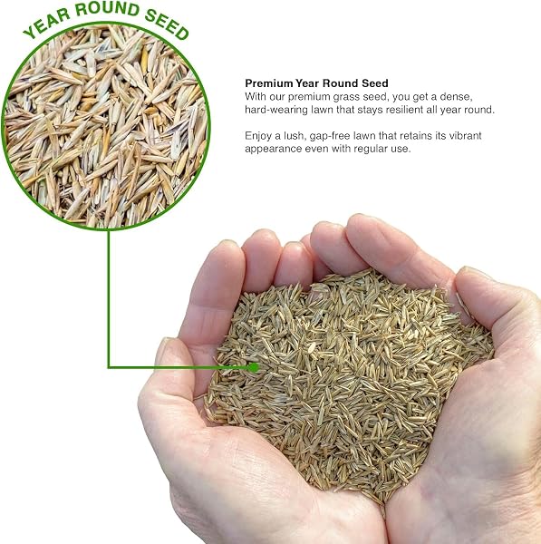 GroundMaster Premium Lawn Grass Seed – 5KG Hard Wearing & Fast Germination Grass Seeds for Family Lawns and Gardens, Coverage up to 300M2 for Overseeding, Tough Lawn Seed Mixture, Pet-Friendly - 1