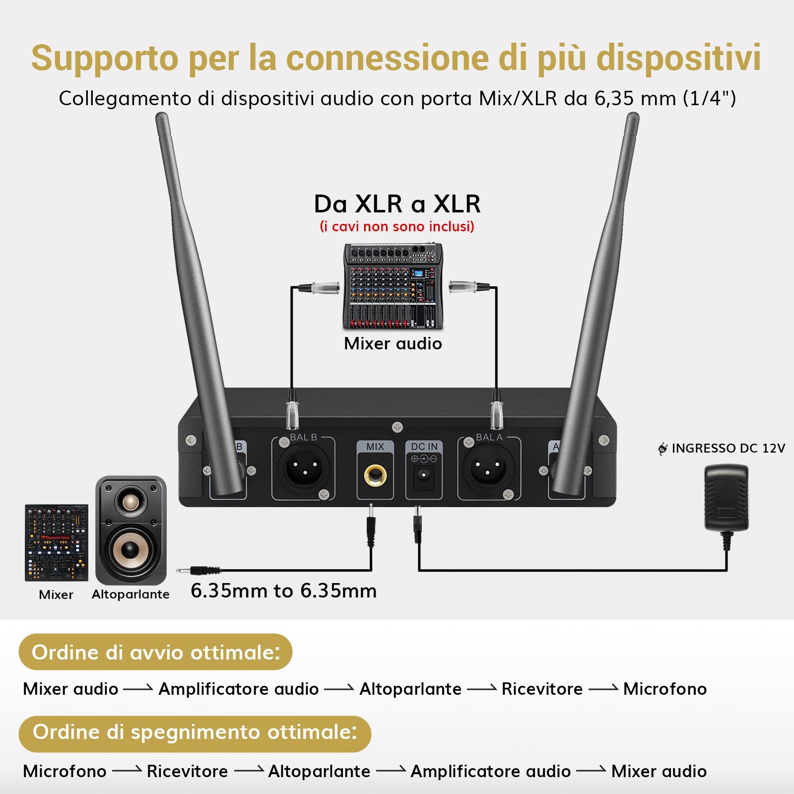 Microfono Wireless Tonor TW520 - Doppio Microfono UHF Con Ricevitore, 80m Portata, Ricaricabile USB-C
