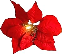 Vista 9 de Guirnalda iluminada de flor de pascua, 10 flores de Pascua rojas, luces LED, 60 pulgadas de largo, decoraciones navideñas iluminadas, guirnaldas