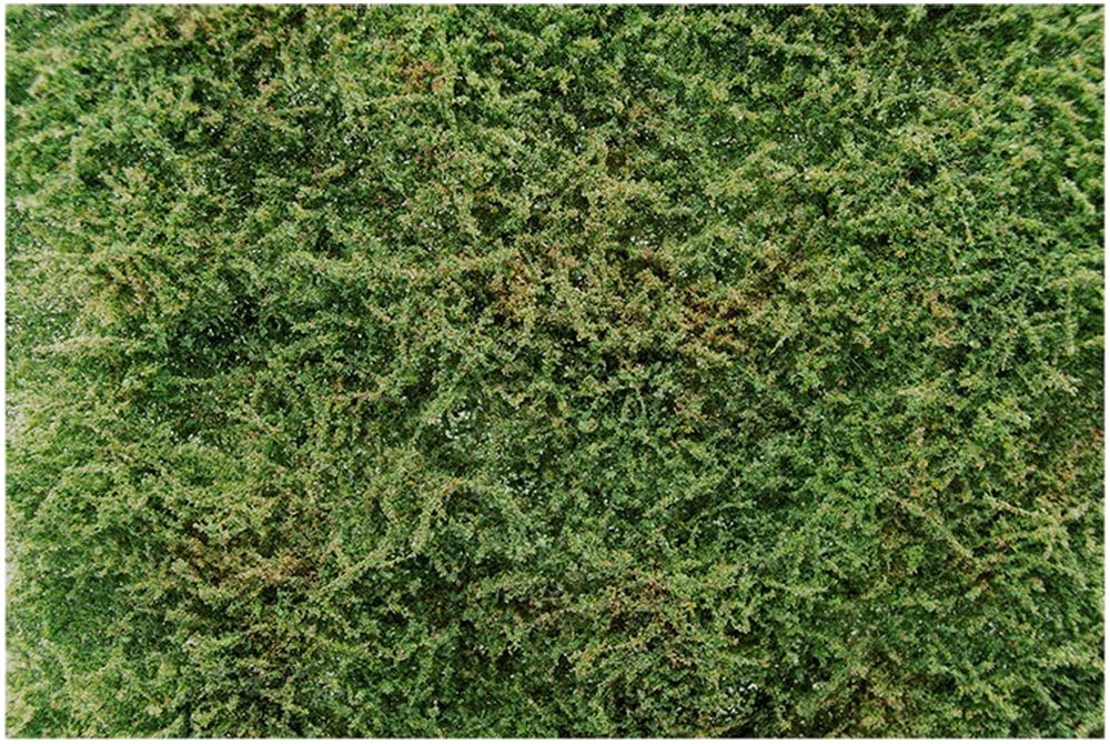 AMMO by mig Jimenez - Diorama Wildderness Fields with Bushes - Early Summer Amig8363 Promo model czo?gów