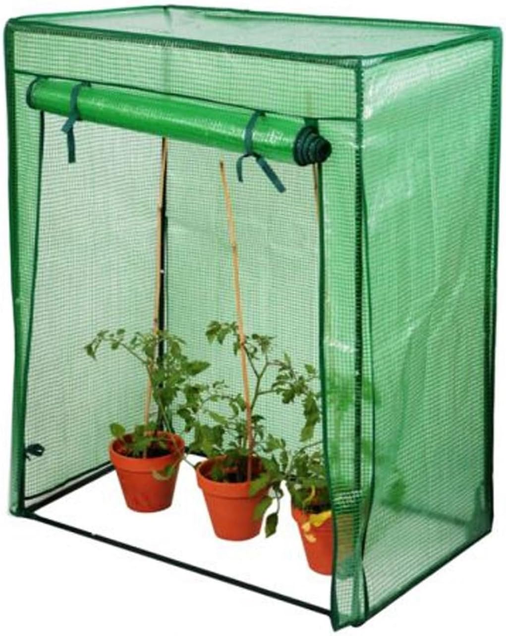 My Garden PathTomato Garden Greenhouse Frame with Heavy Duty Reinforced PE Weather Cover with Roll-up Door Growbag Growhouse Vegetables Grow Tent and Cultivation, Green