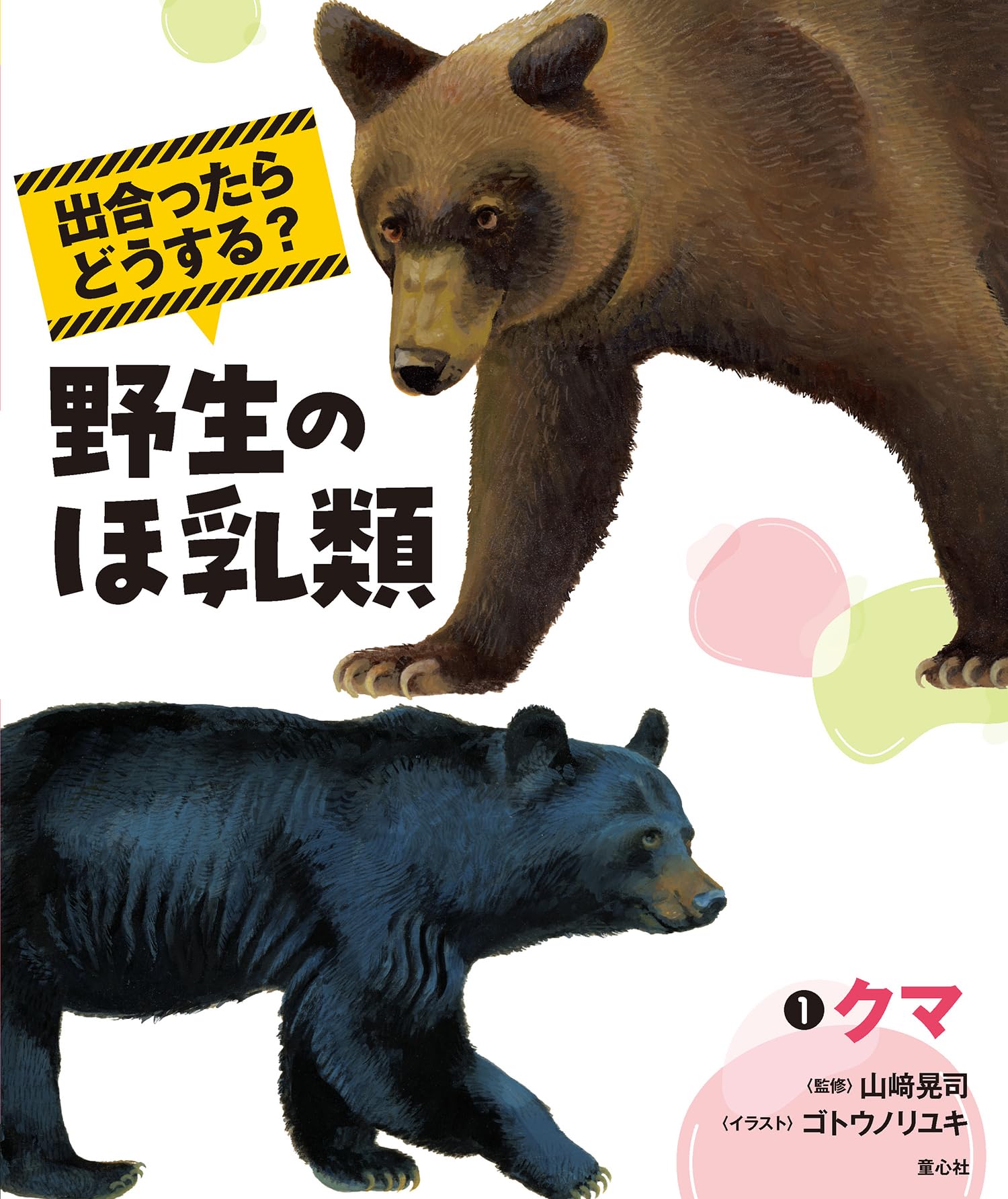 出合ったらどうする? 野生のほ乳類 1クマ | 山﨑 晃司, ゴトウ 