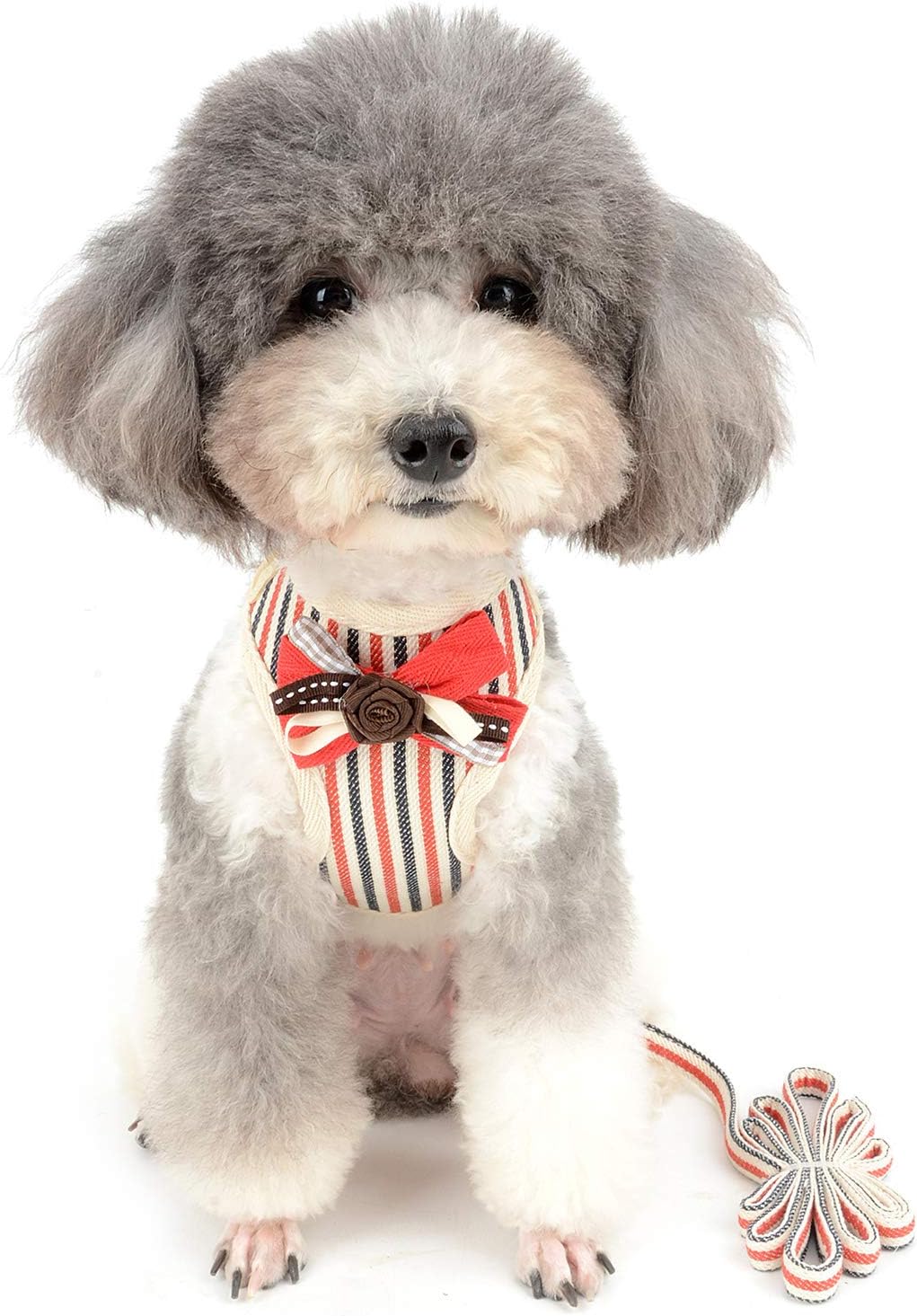 No Pull Mesh Harness for Small Dog Cat Striped Puppy Harness and Leash Set, Breathable Soft No Choke Design Pet Padded Vest Escape Proof Cute Flower Bow Chihuahua Yorkie Body Harness Red S