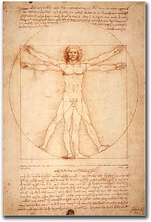 AnenaXean Printed Canvas Painting Wall Art Vitruvian Man Drawing By Leonardo Da Vinci Print Poster Bedroom and Kitchen Office Wall Decoration 8x12inch wood Frame