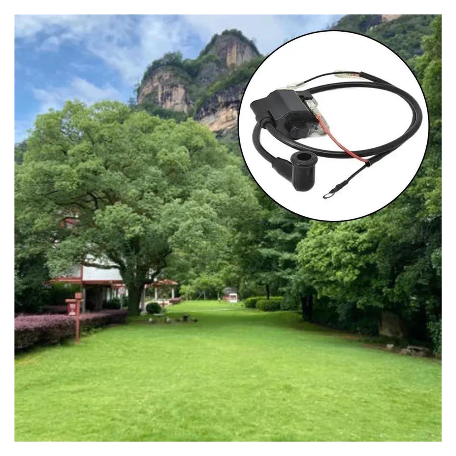 Dingmao Bobina de encendido de 1 pieza compatible con Huasheng KS865 EB650 de 2 tiempos 63CC KS865