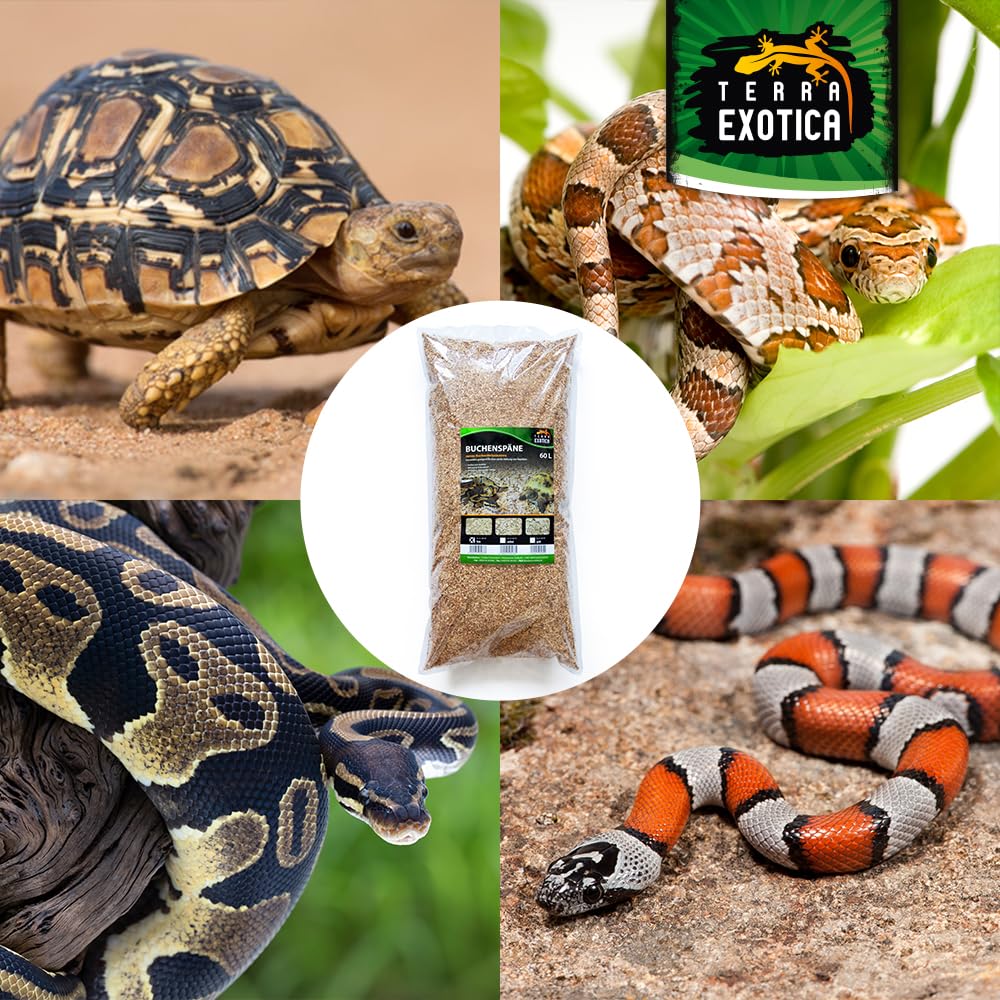 Buchenspäne fein als Einstreu für Ihr Terrarium in 10, 20 oder 60 Liter - Natürliches Buchenspan geeignet für Reptilien, Vögel und Kleinsäuger (60 Liter)