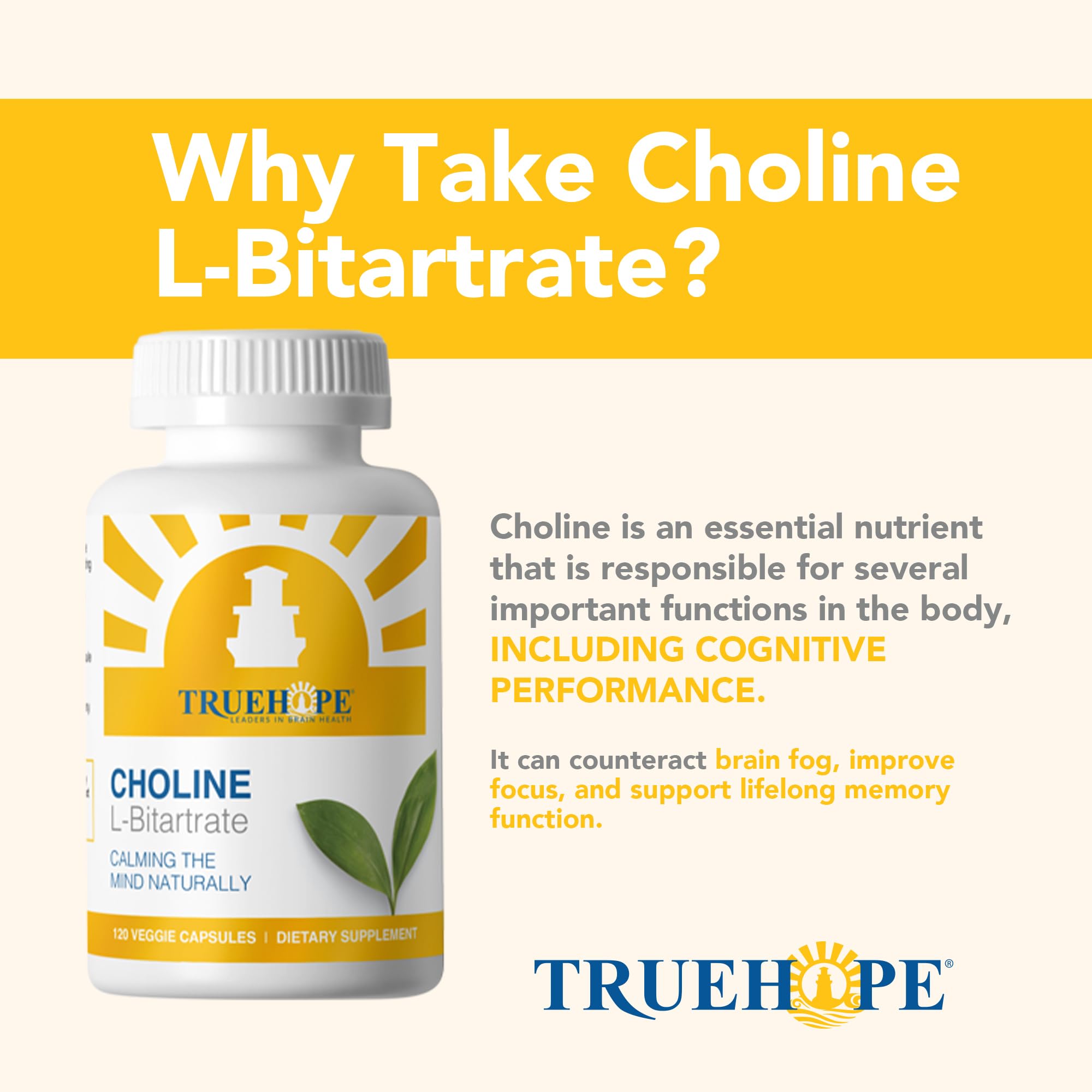 Truehope Choline L-Bitartrate 120ct - Brain Focus & Liver Health Supplement — Amazon image 4