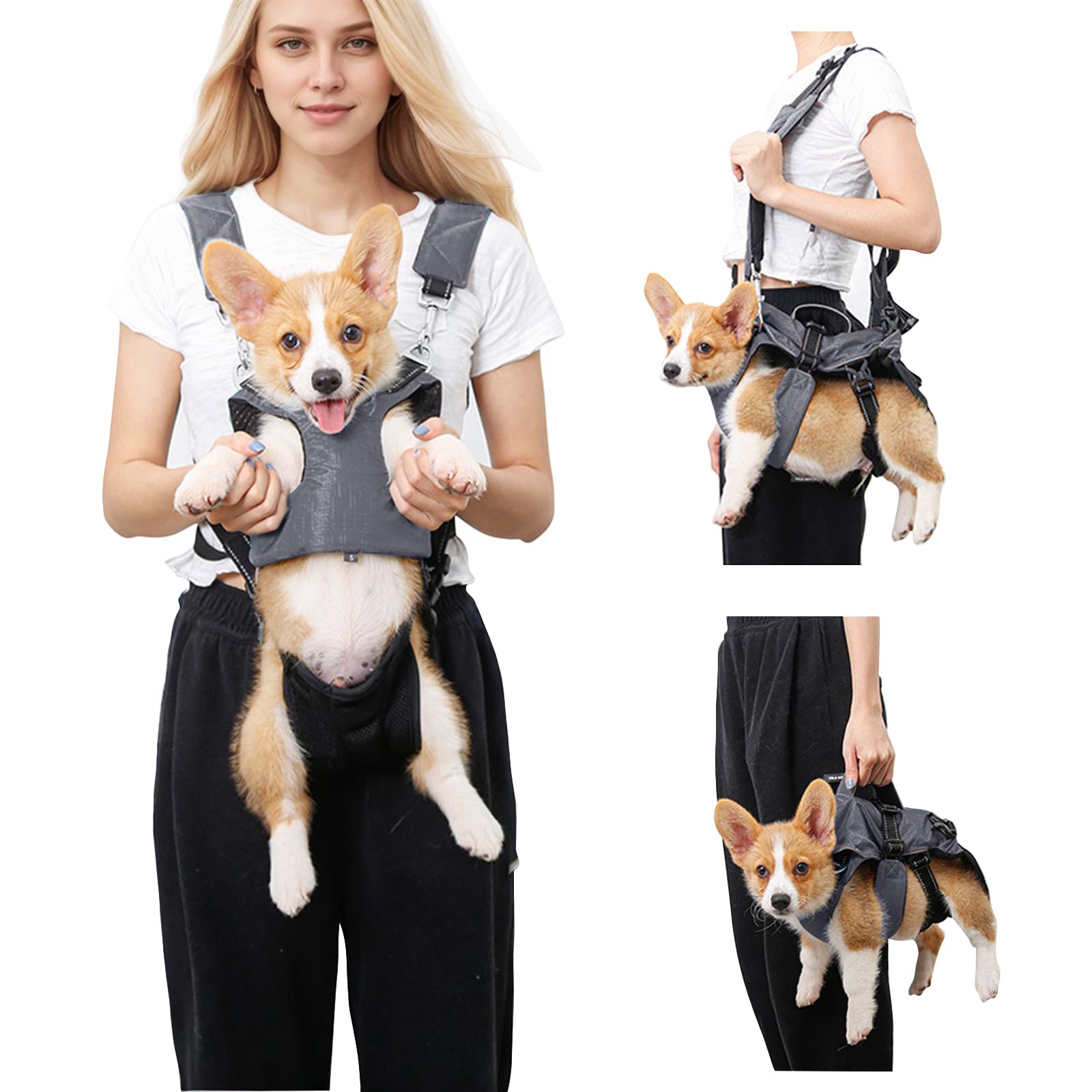 PETCUTE Sac à dos pour animal de compagnie - Réglable - Pour petits chiens et chats - Portable et respirant - Avec bande réfléchissante - Jusqu'à 15 kg - Pour les voyages