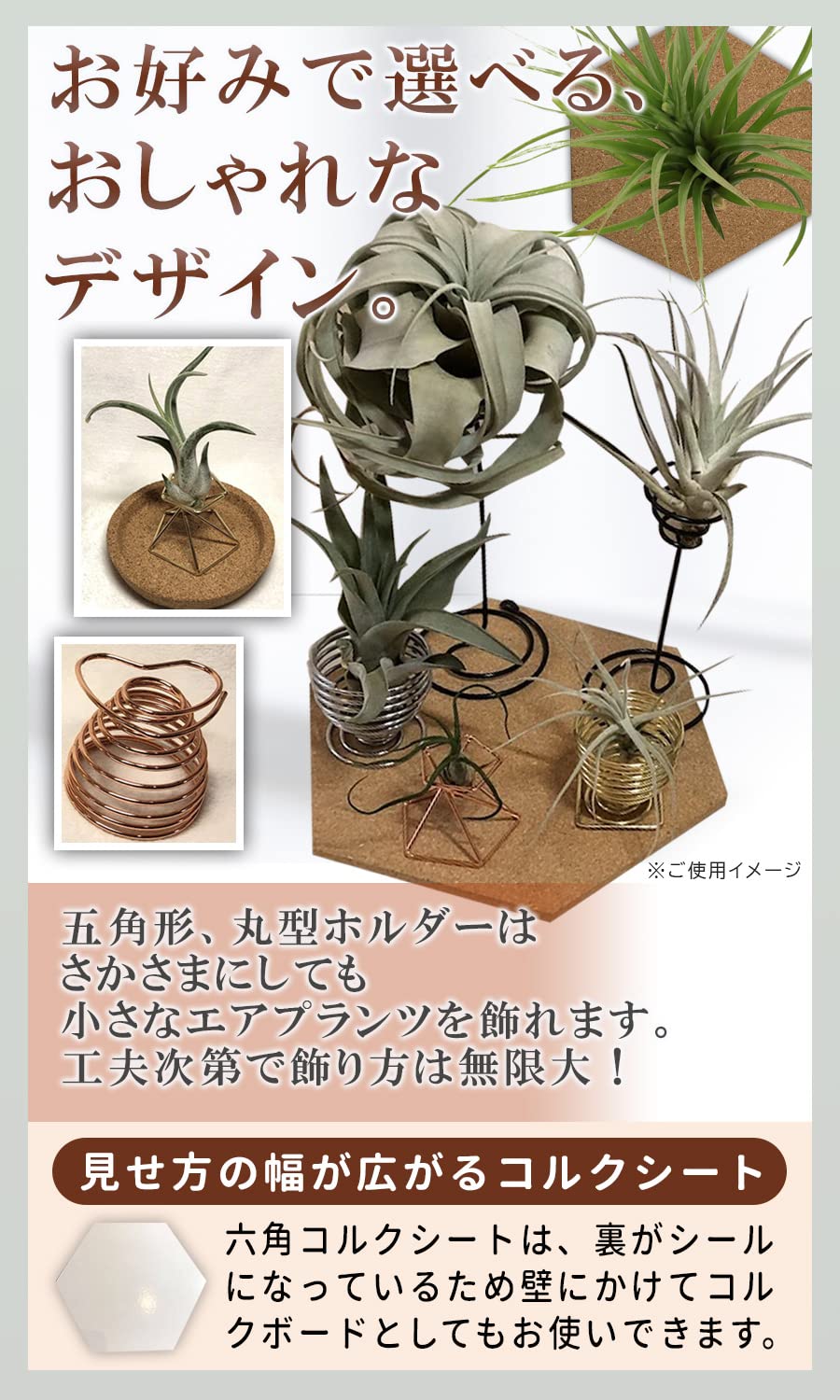 Amazon｜エアプランツ ホルダー スタンド 観葉植物 本物 チランジア