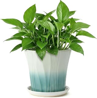 8.3 Inch Ceramic pots for Plants with Saucer Drainage Leak-Proof Mesh, Round Plant Pot with Gardening Gloves for Indoor Outdoor Plants (Rippled Green)