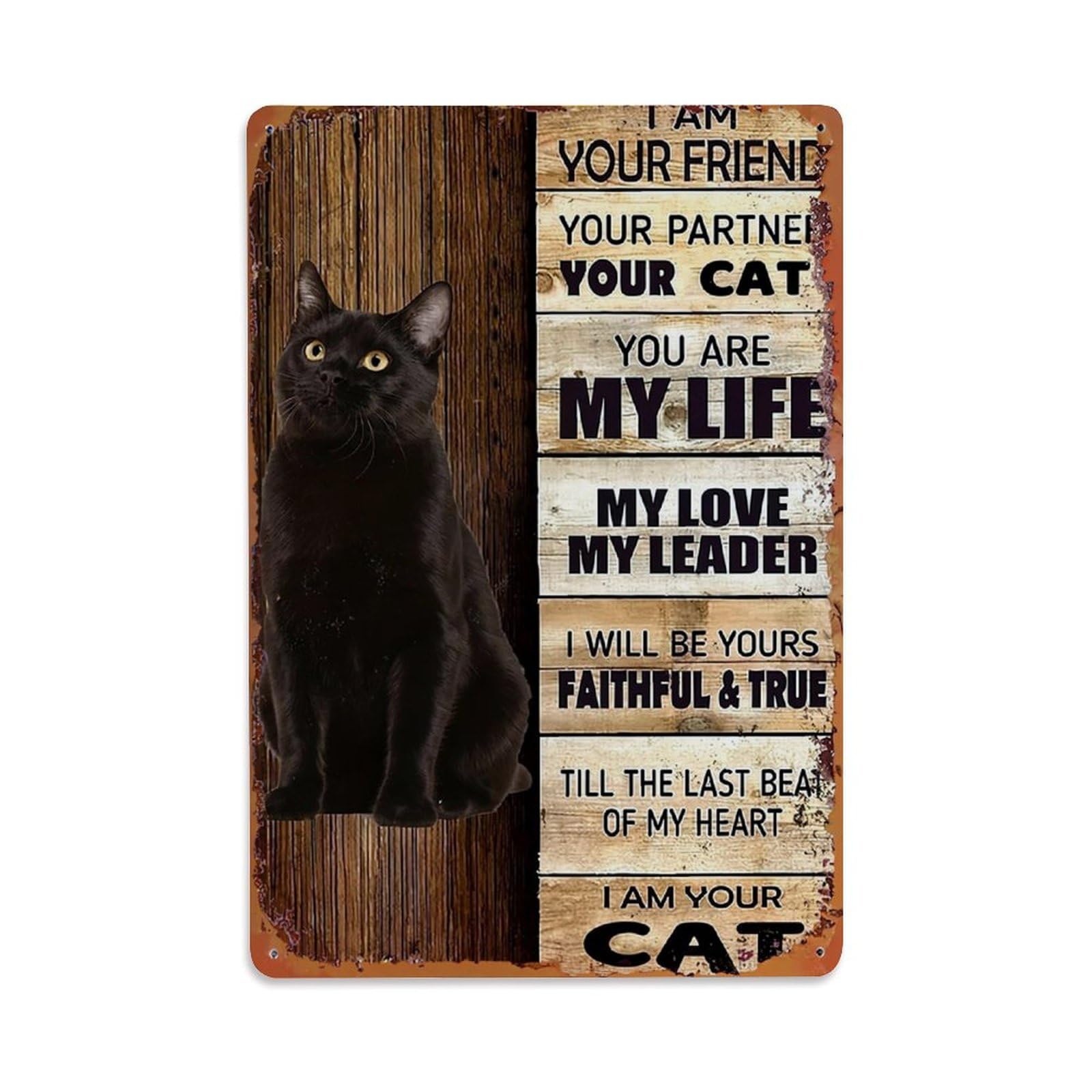Bliveurn Vintage Black Cat Plank Text Design Retro Metal Tin Sign, Metal Poster For Home, Gaming Room, Studio Workshop,Bar,Garage Wall Art Decor 8X12 Inch