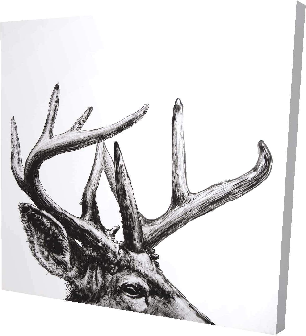 BEGIN DECO MAISON - HOME DECOR Roe Deer Plume, Fine Art Gallery Wrapped Canvas 36x36