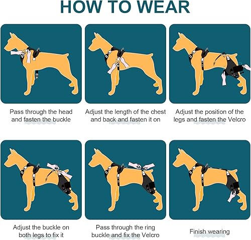 Miniatura 7 de Rodillera para perro para pierna trasera desgarrada ACL con estabilizador de bisagra ajustable, soporte de espalda de perro para osteoartritis,