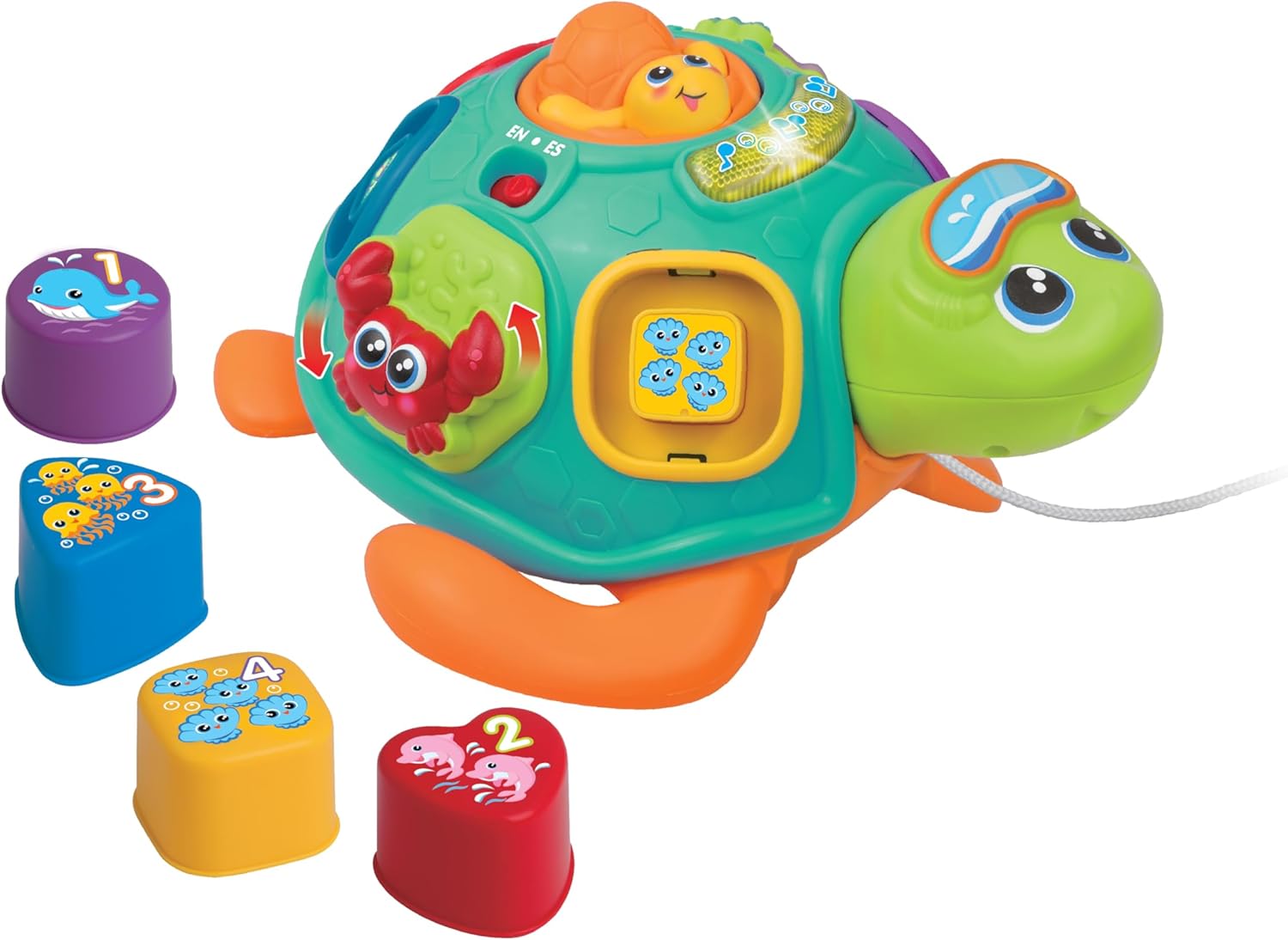 winfun Pull Along Sort 'n Learn Turtle – Shape Sorter Toy for Toddlers 12M+ with Lights, Sounds, Music, Quiz Game – Bilingual English/Spanish Educational Toy – Includes 4 Shapes & Batteries