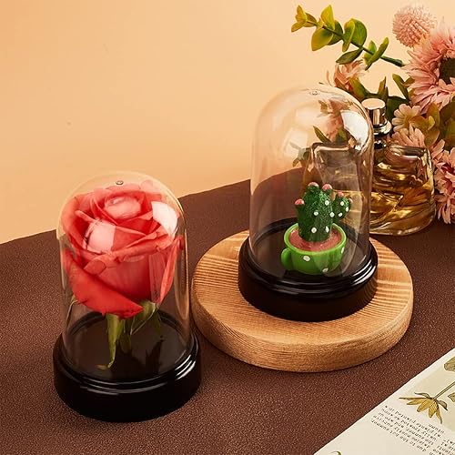 Miniatura 6 de NBEADS 6 juegos de cubiertas de cúpula de plástico, 2.77 x 4.2 pulgadas de diámetro, cúpula de cúpula de cúpula Cloche Mini transparente con base de