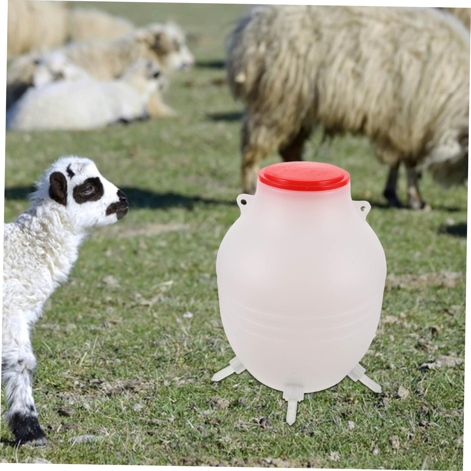 Biberon Per Latte Di Pecora Mangiatoia Per Latte Animale Con Tettarella Morbida Dispositivo Alimentazione in Riutilizzabile Per Agnelli e Bestiame