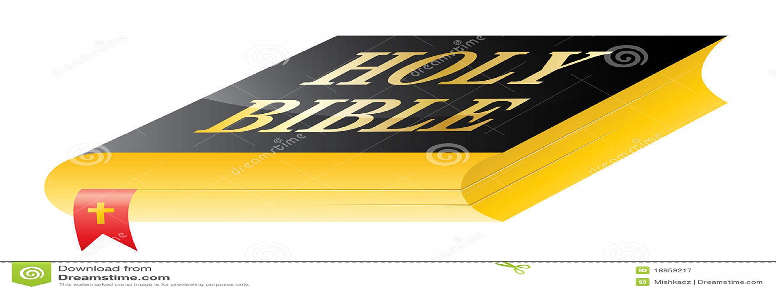The holy bible in telugu old version plastic leather