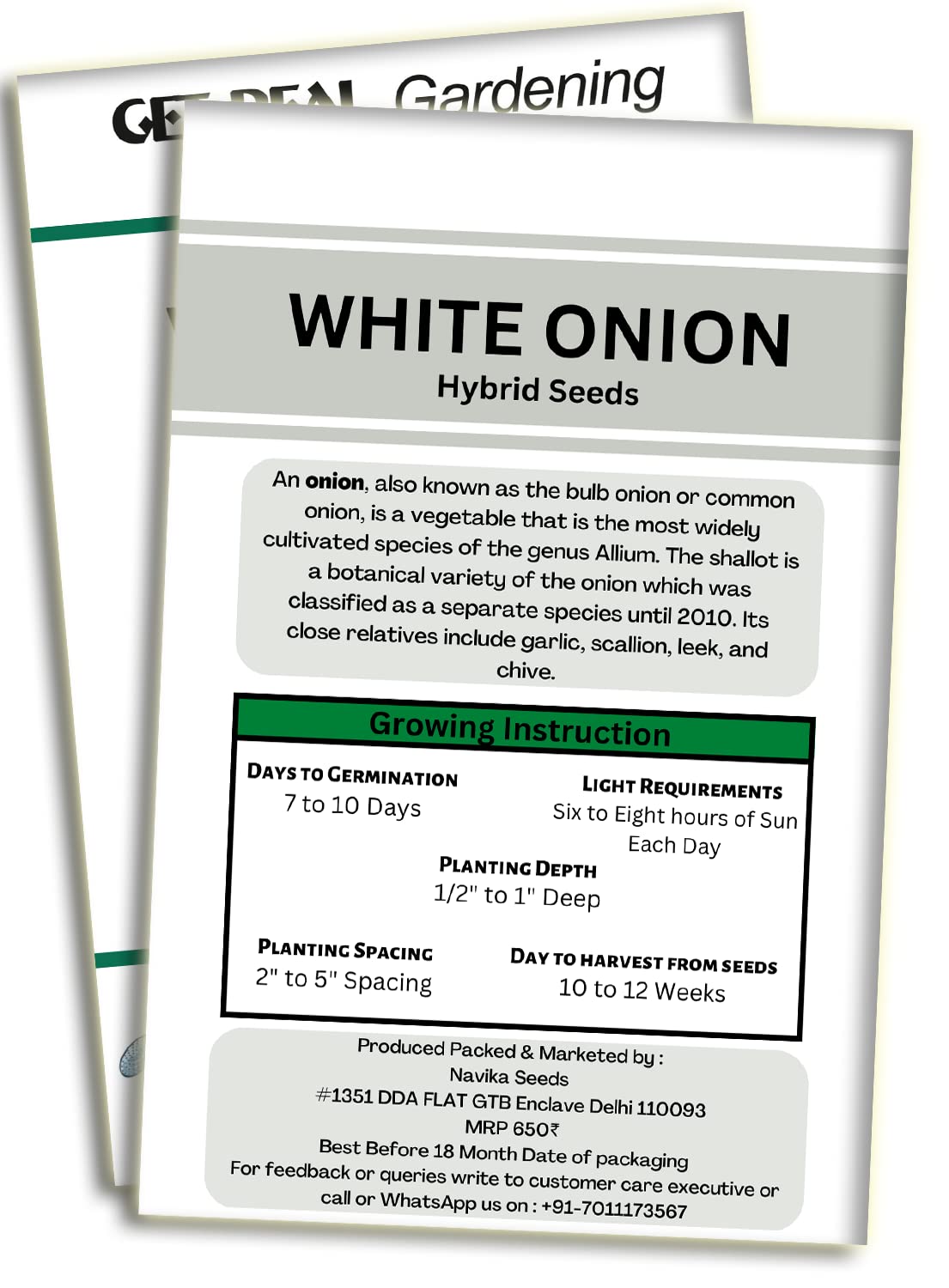 Navika Seeds ; Grow with Us White Onion Hybrid Vegetable Seeds for Gardening Free E Book for Kitchen,Backyard & Home Gardening & Planting included(Pack of 5 gram Hybrid White Onion Seeds) 1