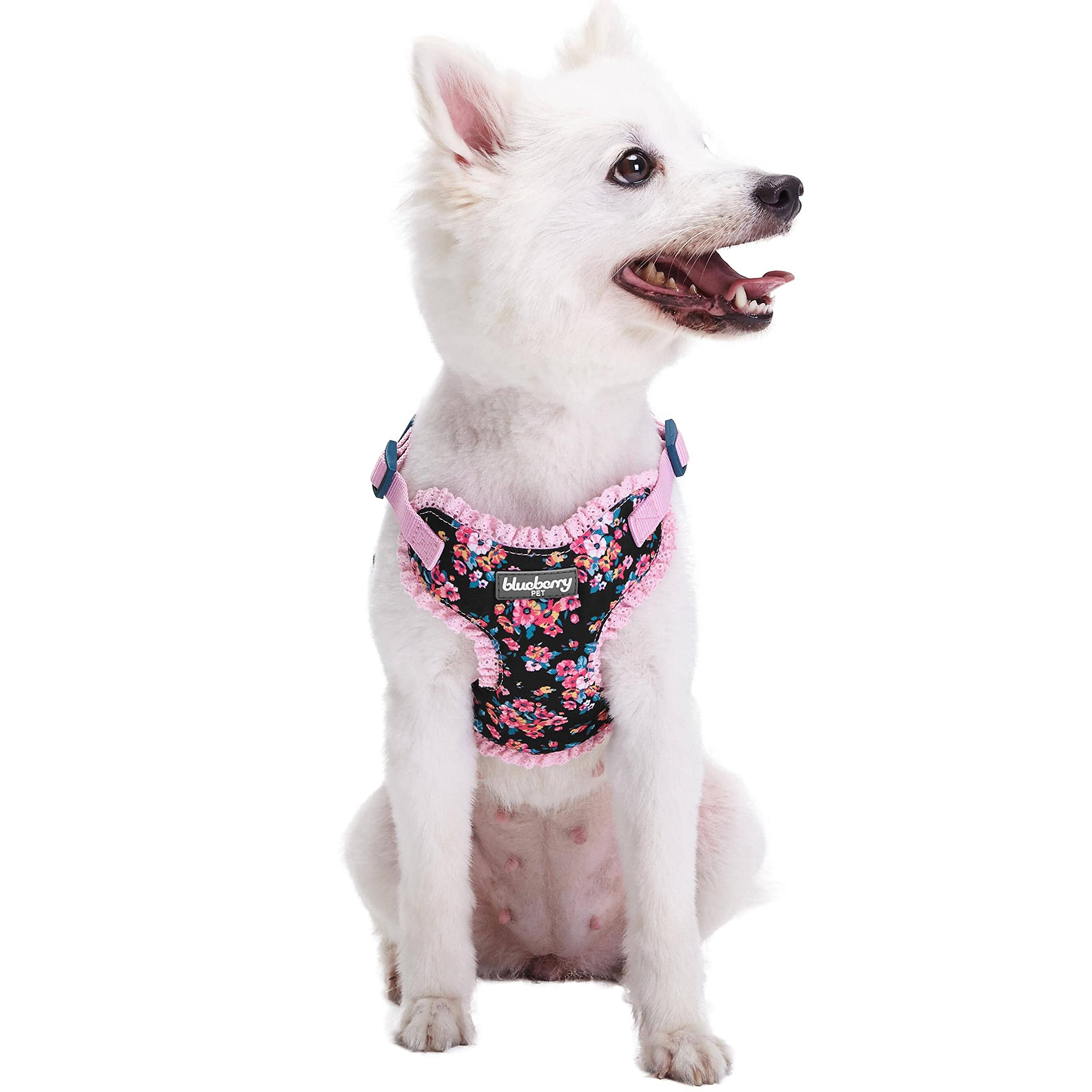 Harnais pour chien en maille filet respirante et réglable Blueberry Pet