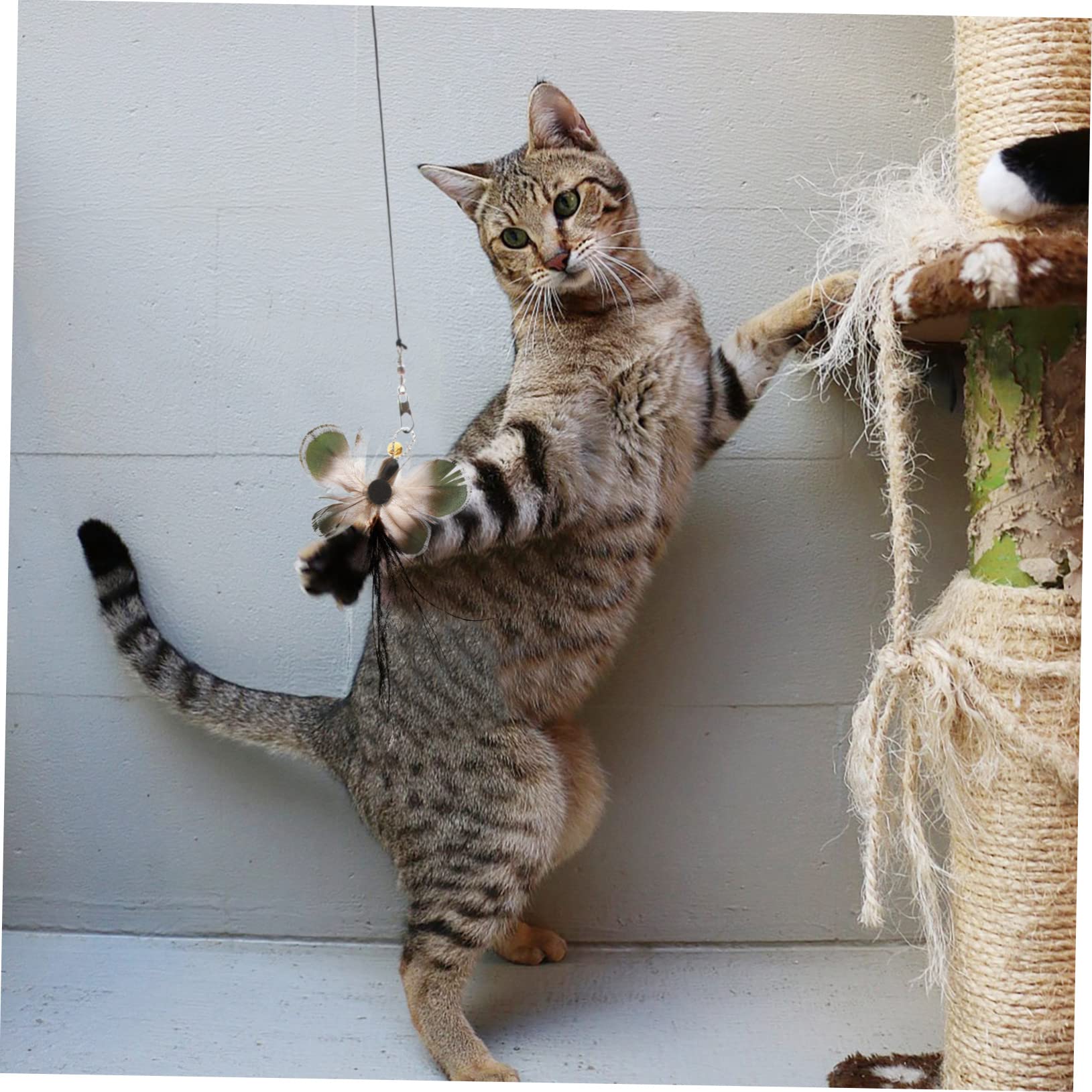 POPETPOP 18stücke Katzenspielzeug Ersatzköpfe Interaktive Katzenangel Mit Realistischen Insekten Und Federn Für Neugierige Katzen Und Stundenlangen Spielspaß
