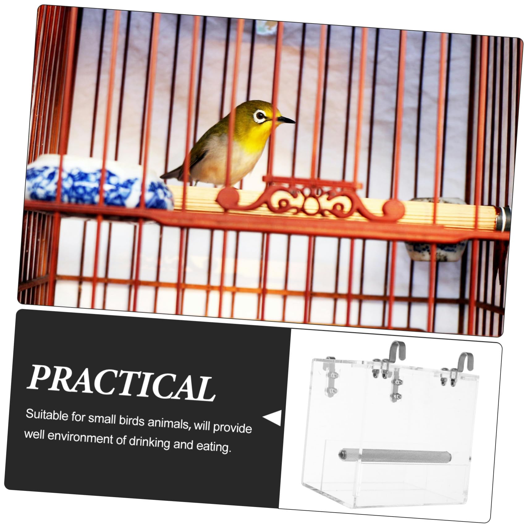 Mangeoire à Oiseaux Automatique Suspendue Plastique Perroquet